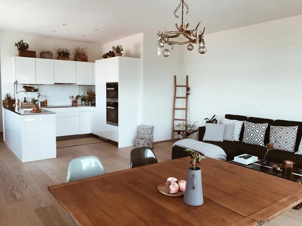 Avliving City Inside Nine Basel Apartment