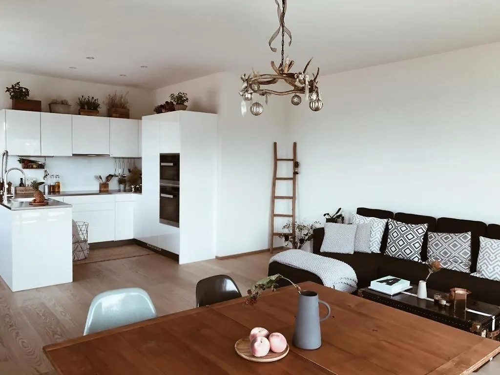 Avliving City Inside Nine Basel Apartment