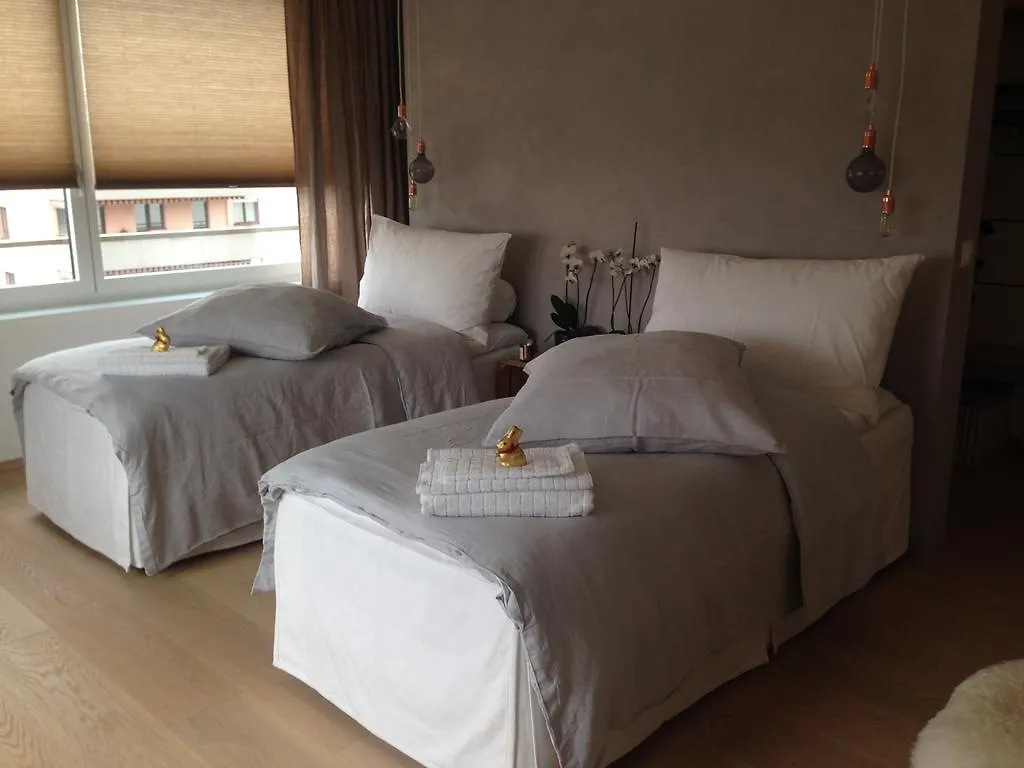 Avliving City Inside Nine Basel Apartment