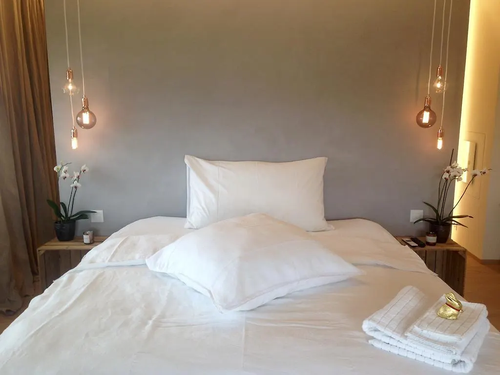 Avliving City Inside Nine Basel Apartment Switzerland